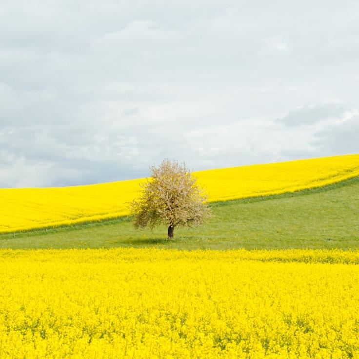 Nature travel hero image