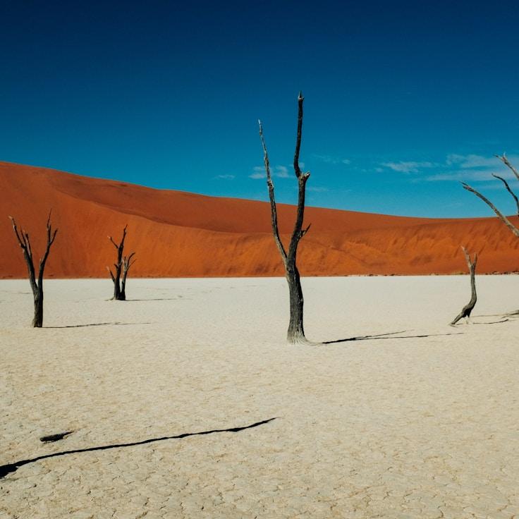Low-impact nature route